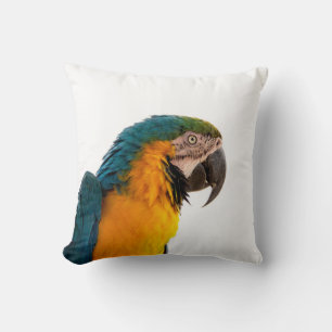 Macaw Parrot Photo Cushion