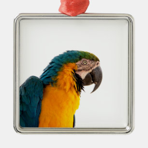 Macaw Parrot Photo Metal Tree Decoration