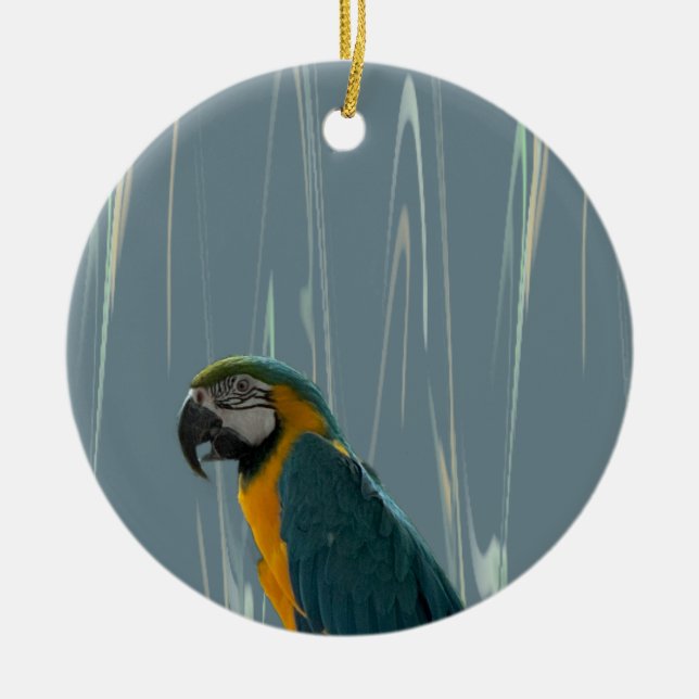 Macaw Parrot Photo Ornament  (Front)