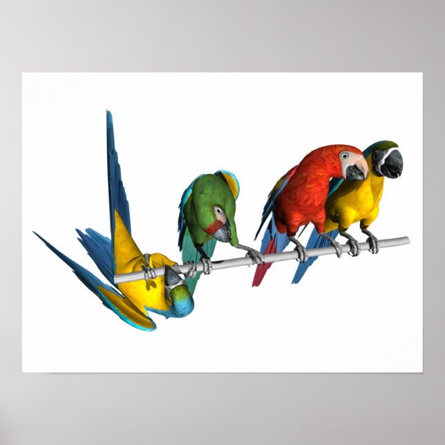 Macaw Parrot Poster (Front)