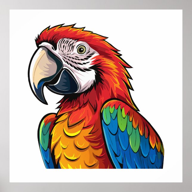 Macaw parrot poster (Front)