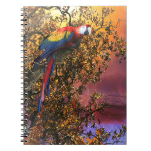 MACAW PARROT RAIN FOREST OUTPOST NOTEBOOK