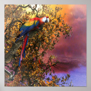 MACAW PARROT RAIN FOREST OUTPOST POSTER