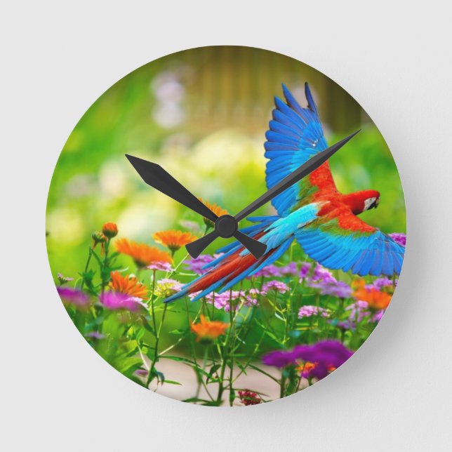 Macaw Parrot Round Clock (Front)
