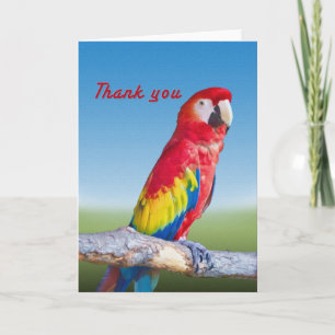 Macaw Parrot Thank You Card