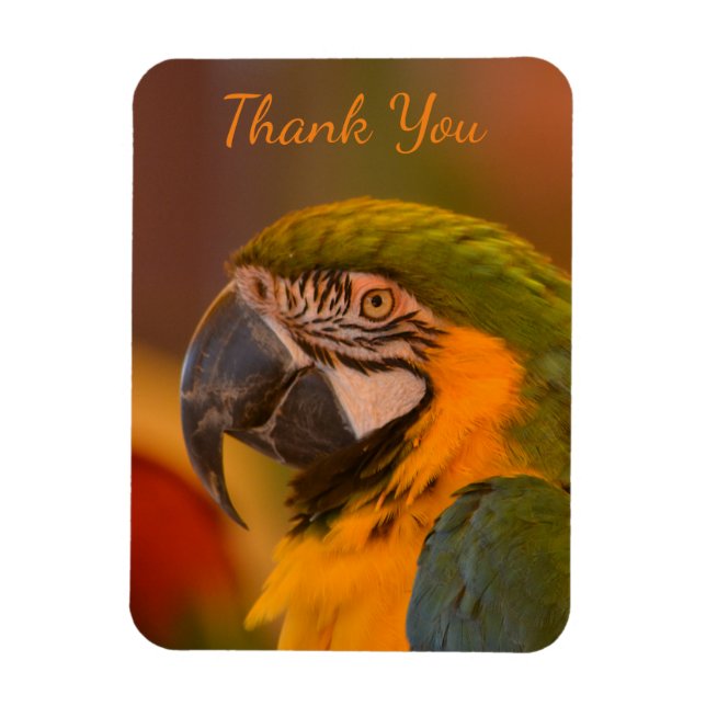 Macaw Parrot Thank you Magnet (Vertical)