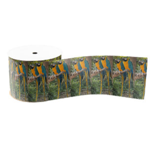 Macaw Parrots Photo Ribbon  Grosgrain Ribbon