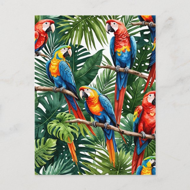 Macaw parrots tropical summer vacation Postcard (Front)