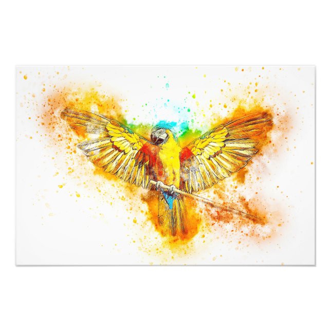 Macaw Photo Print (Front)