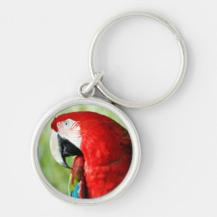 Macaw Portrait Key Ring