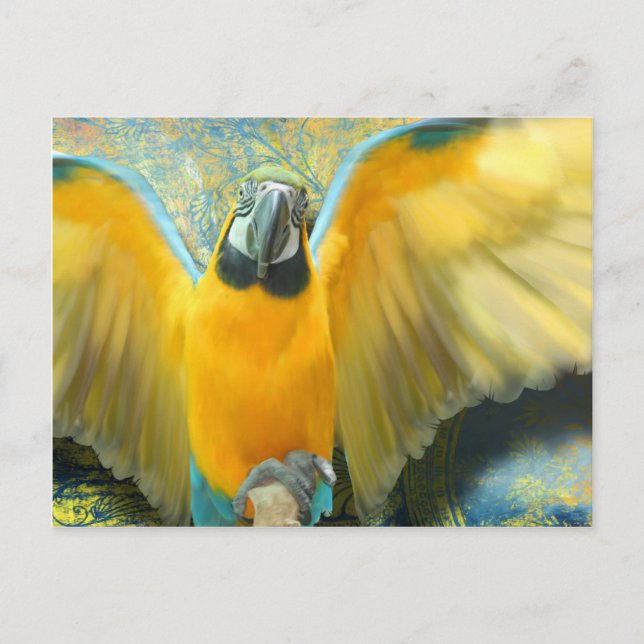 Macaw Postcard (Front)