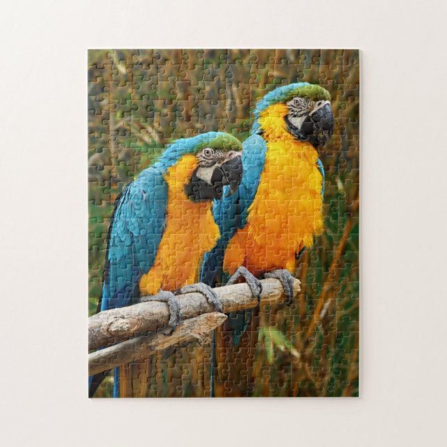 Macaw Puzzle (Vertical)