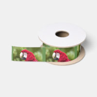 Macaw Ribbon