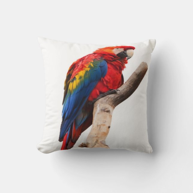 macaw- scarlet cushion (Front)