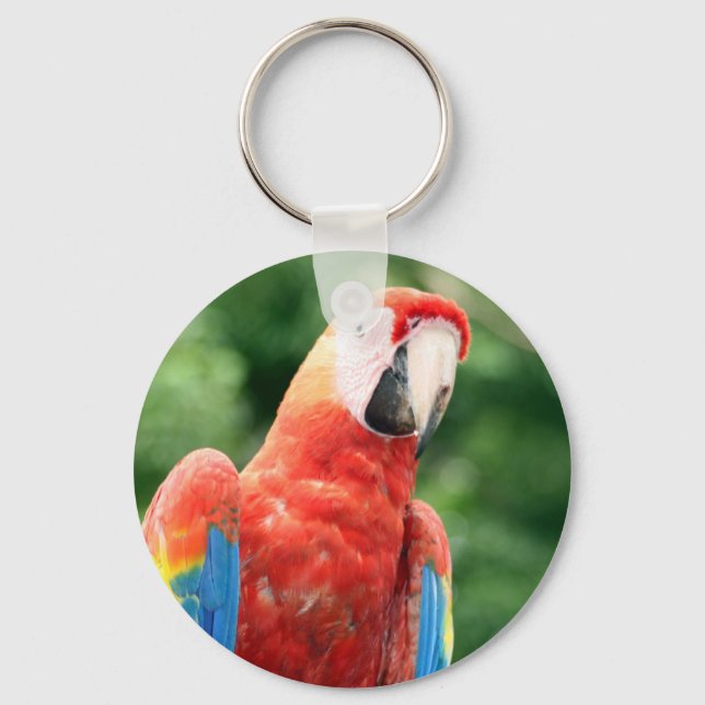 macaw scarlet face key ring (Front)