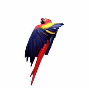 Macaw Sculpture Standing Photo Sculpture