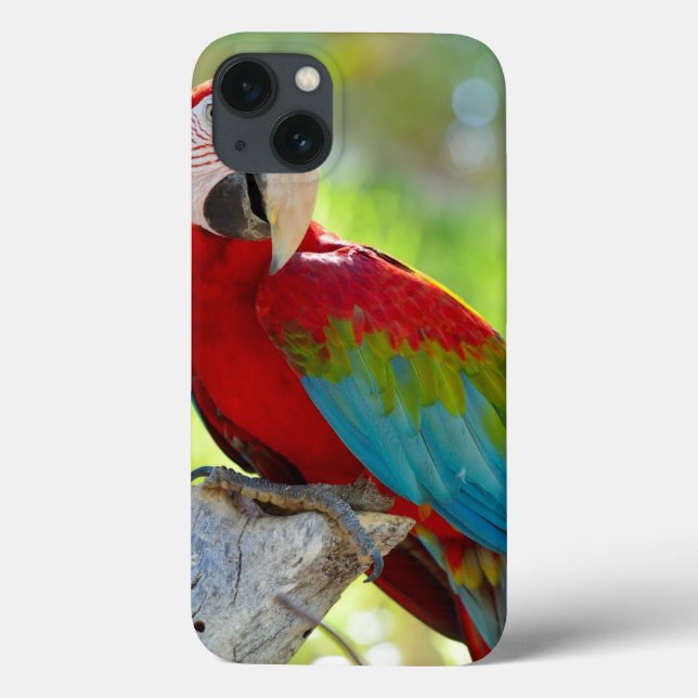Macaw sitting on branch Case-Mate iPhone case (Back)