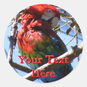 Macaw Stickers