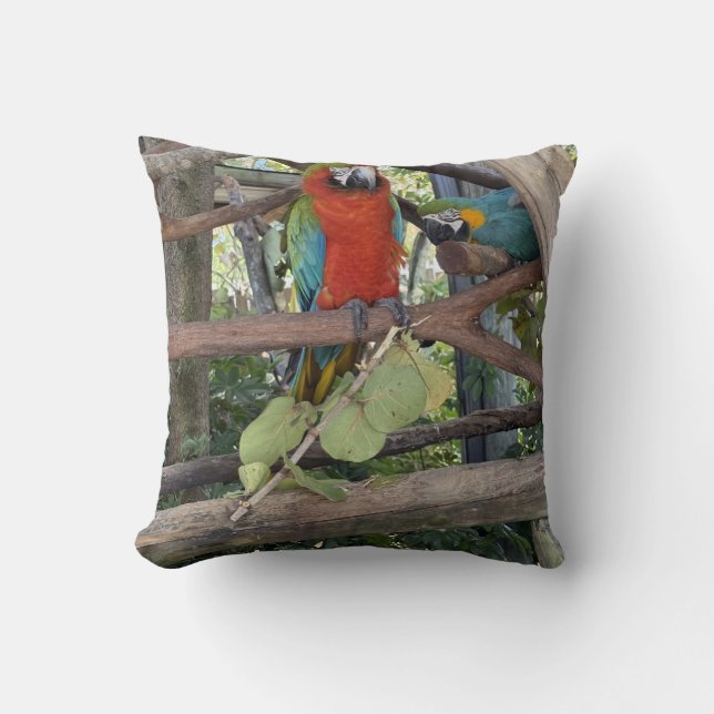 Macaw Throw Pillow (Front)