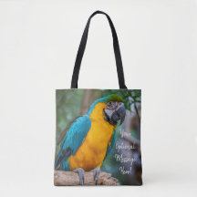 Macaw