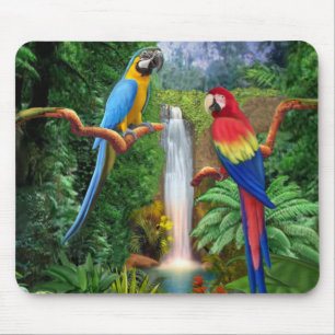 Macaw Tropical Parrots Mouse Mat