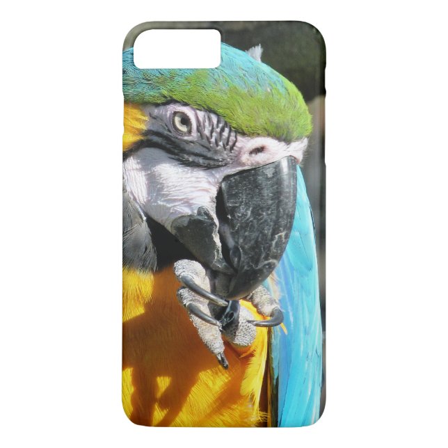MACAWS Case-Mate iPhone CASE (Back)