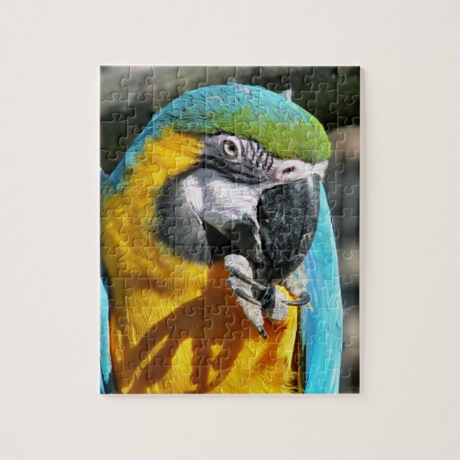 MACAWS JIGSAW PUZZLE (Vertical)