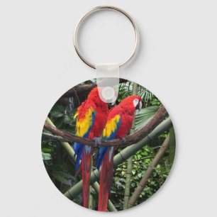 macaws key ring
