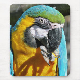MACAWS MOUSE MAT