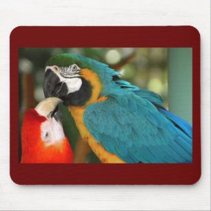 Macaws Mouse Mat