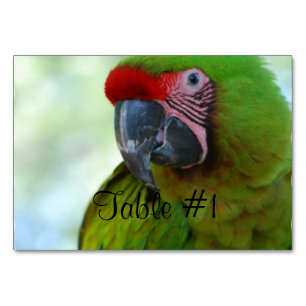 Macaws Table Number