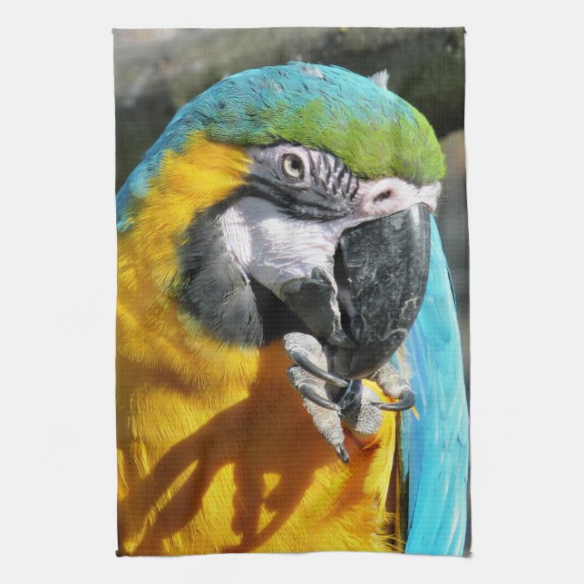 MACAWS TEA TOWEL (Vertical)