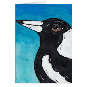 Macca the Magpie