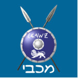 Maccabee Shield And Spears Photo Sculpture Magnet<br><div class="desc">A depiction of a Maccabee's shield and two spears. The shield is adorned by a lion and text reading "Yisrael" (Israel) in the Paleo-Hebrew alphabet. "Maccabee" also appears in modern Hebrew. The Maccabees were Jewish rebels who freed Judea from the yoke of the Seleucid Empire. Chanukkah is not just a...</div>