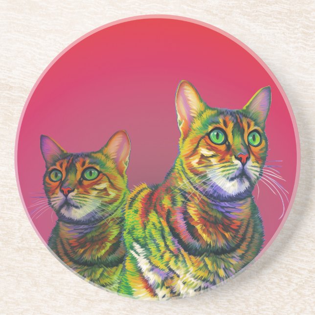 Macchi Cats Sandstone Coaster (Front)