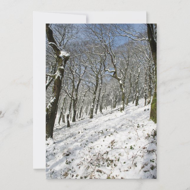 Macclesfield Forest Winter Card (Front)