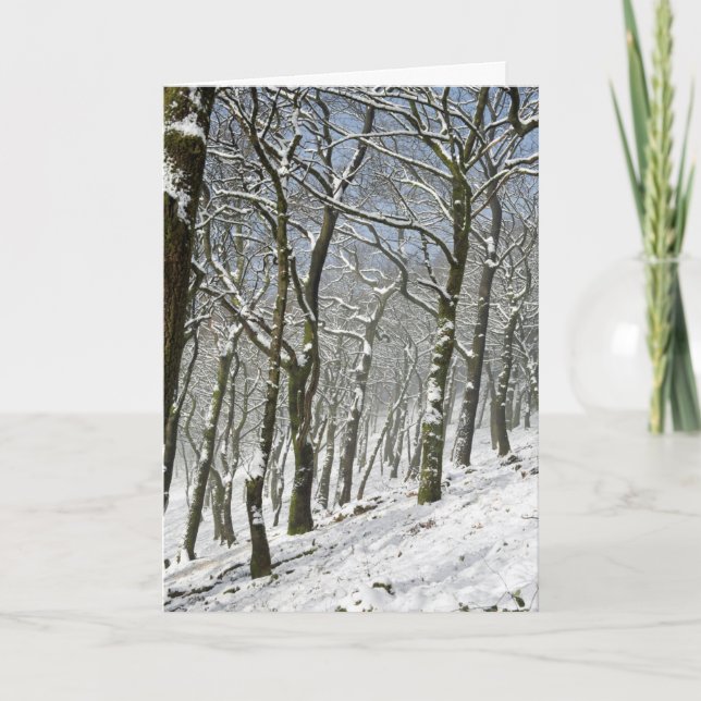 Macclesfield Forest Winter Card (Front)