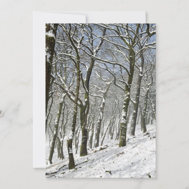 Macclesfield Forest Winter Card (Front)