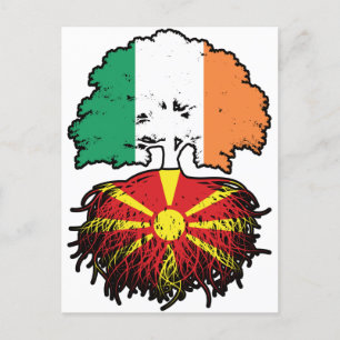 Macedonia Macedonian Irish Ireland Tree Roots Flag Postcard