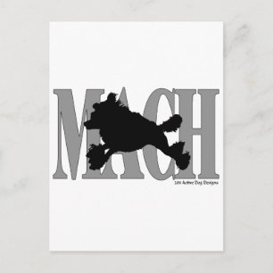 MACH Poodle Postcard