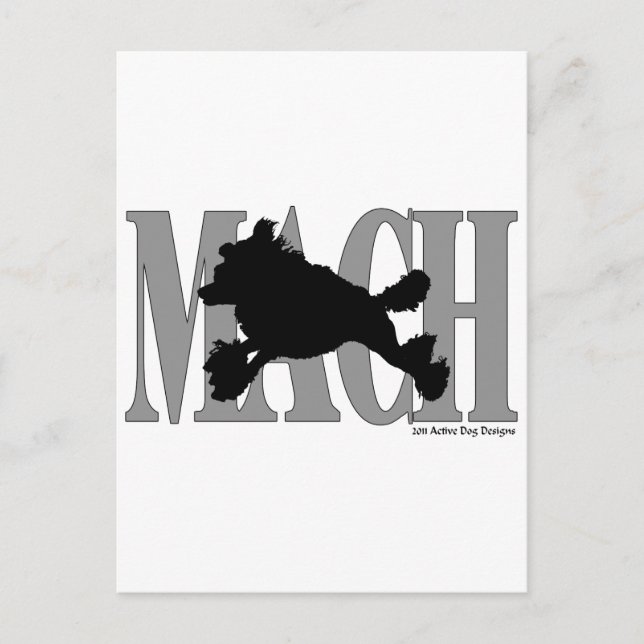 MACH Poodle Postcard (Front)