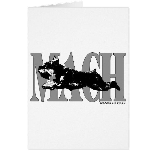 MACH Schnauzer (Front)