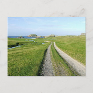 Machair, Isle of Iona Postcard