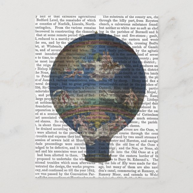 Machine Aerostatique Hot Air Balloon Postcard (Front)