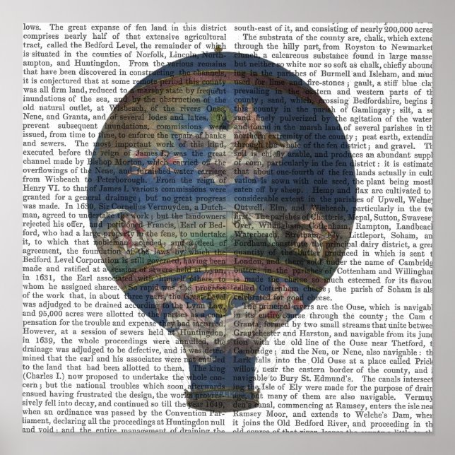 Machine Aerostatique Hot Air Balloon Poster (Front)