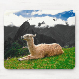 Machu Picchu Llama - Mousepad