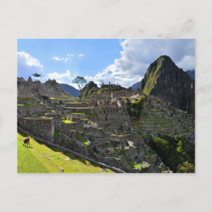 Machu Picchu, Peru, Afternoon Postcard