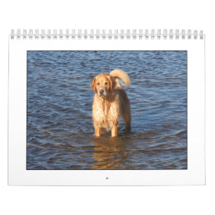Mack  Calendar 2009