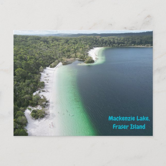 Mackenzie Lake, Fraser Island  Postcard (Front)
