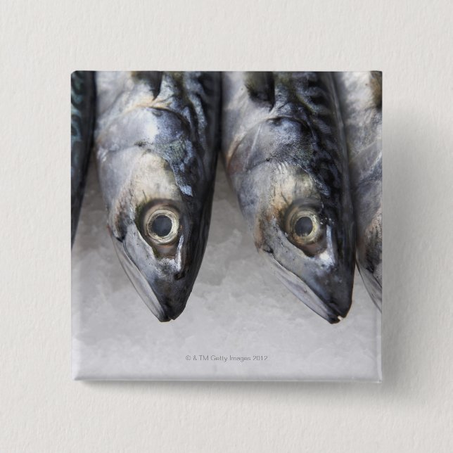 Mackerel fish, fresh catch of the day 15 cm square badge (Front)